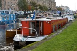 marjorie seagull fcc10 110924 0191